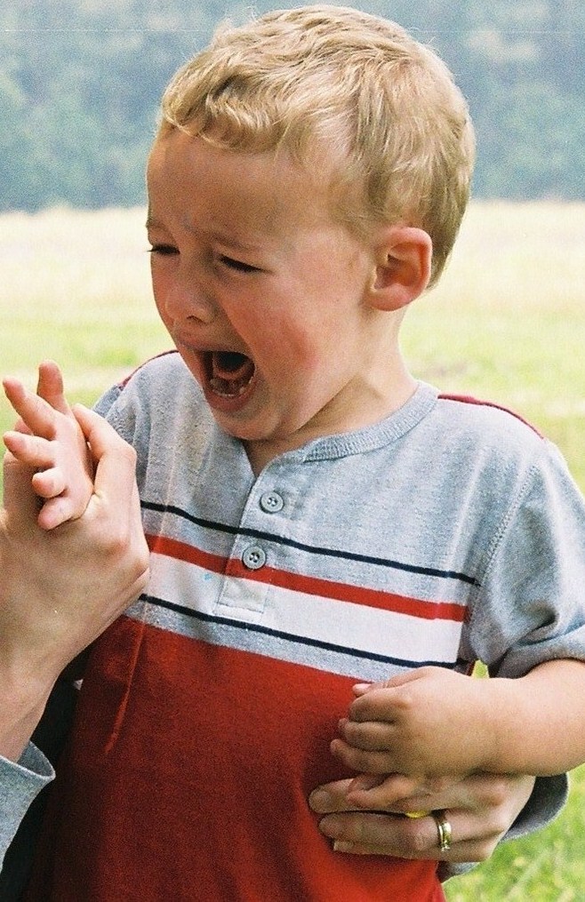 bit by a box turtle