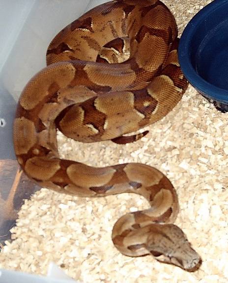 My best friend