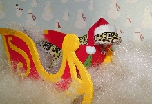 Mojave Christmas
