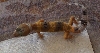 no:2 28_05_08
