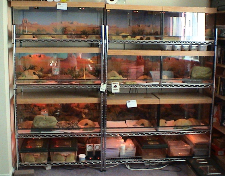 3 level viv