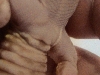 sam sex 2