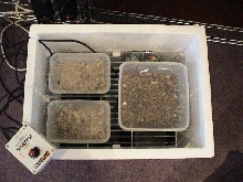 home made incubator