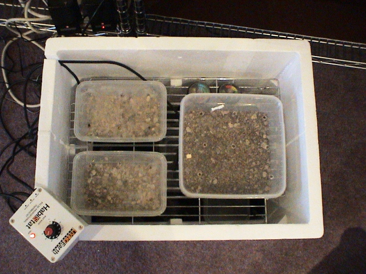 home made incubator
