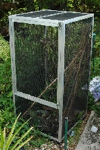 day gecko cage