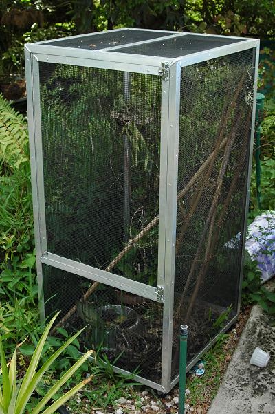 day gecko cage