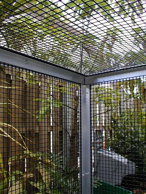 inside cage