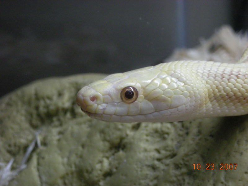 Closeup of eye