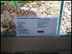 Blackhead label