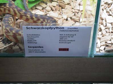 Blackhead label