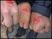 Terrastika stamp