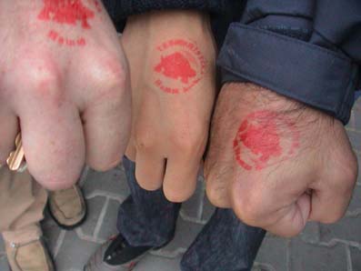 Terrastika stamp