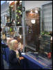 Frog viv's