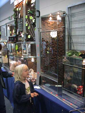 Frog viv's