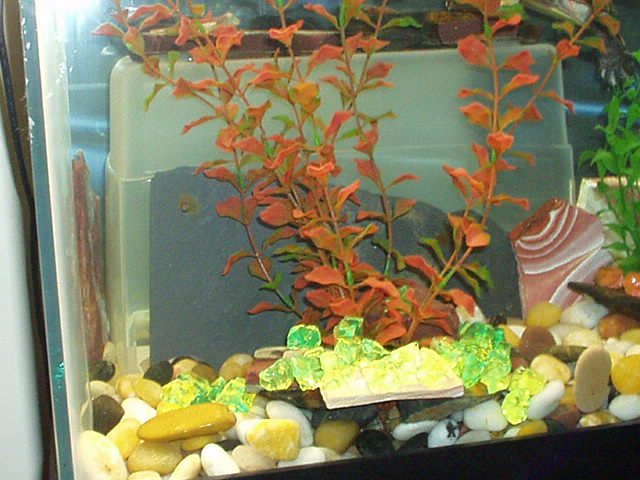 side view