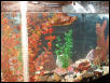 Kurgan's tank