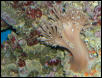 Saltwater Photos