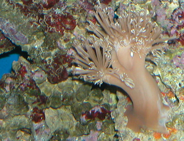 Saltwater Photos