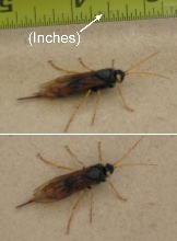 Please identify.,..
