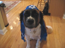 Rabbi Sophie