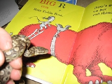 Seuss1