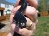 Jack Outside1