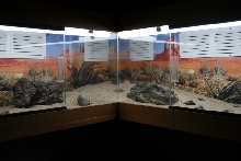 close-up look of wall enclosure.