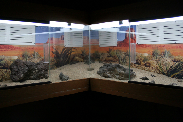 close-up look of wall enclosure.
