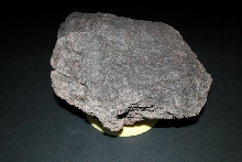 First fake rock attempt