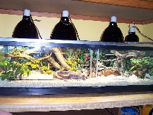 50 gal front slider