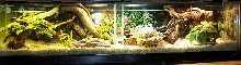 Tank pic