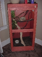 black tree monitor cage