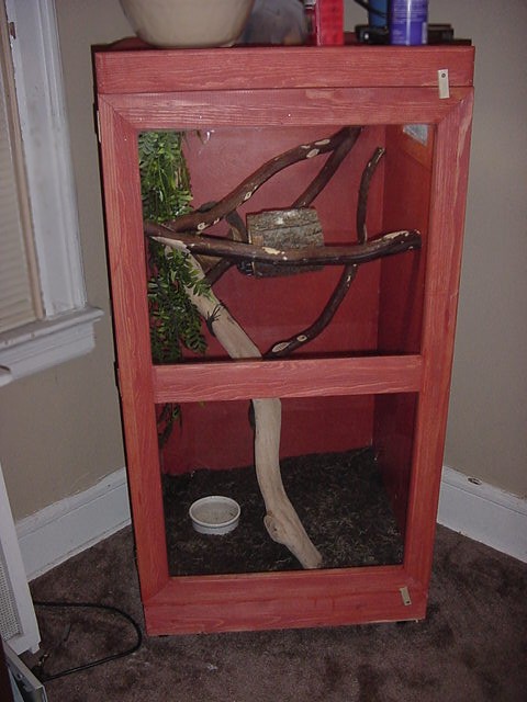black tree monitor cage