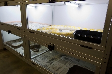 Sentec 8' Cages - 2