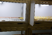 Sentec 8' Cages - 3