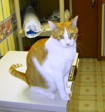 Phil on the freezer