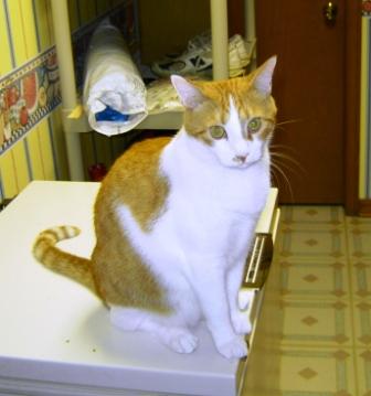 Phil on the freezer