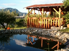 My garden_pond_01