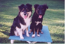 Jynx & Jag