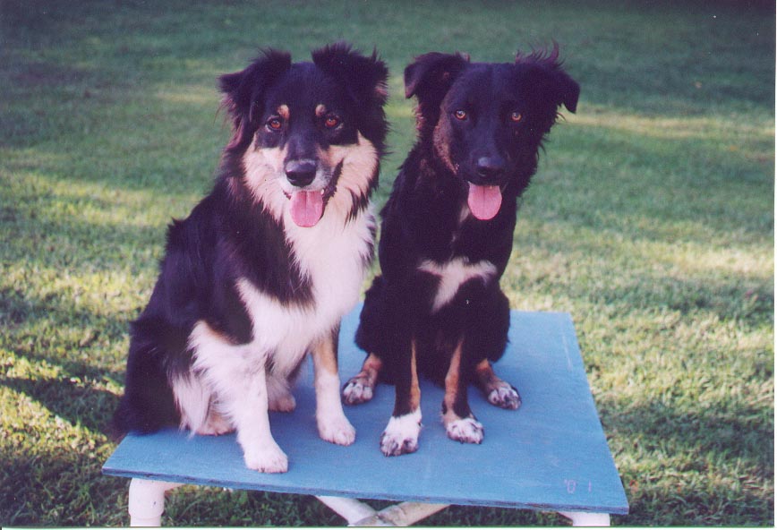Jynx & Jag