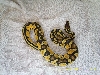 Pastel male 1 pic2
