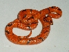 Aberrant Hypo