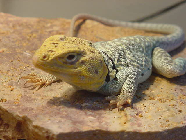Here's my boy again!!!!!!!!!