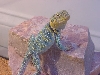 Here he is again!!!!!!!!