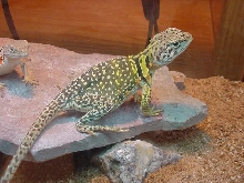 another picture of my baby!!!!!!!!
