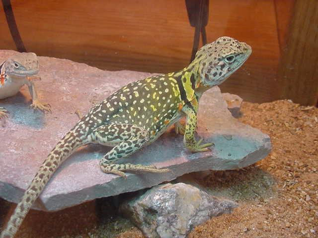 another picture of my baby!!!!!!!!