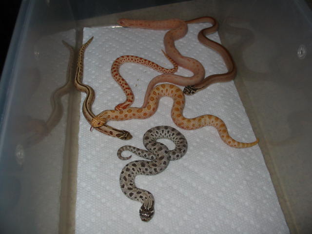 group shot