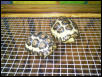 leopard torts