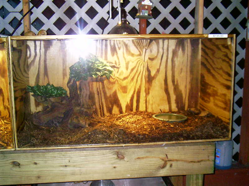 mohouti setup