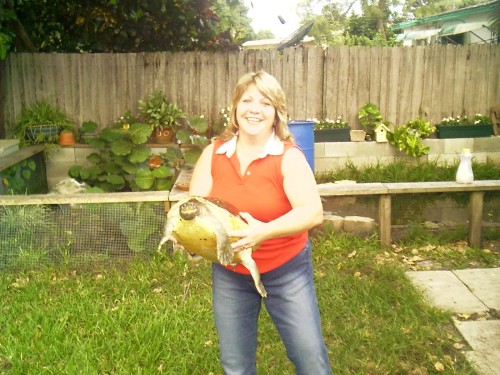 turtletramp and cali